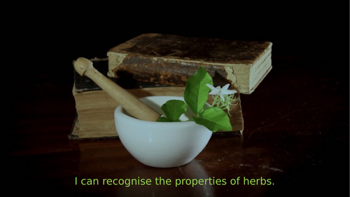 Properties of herbs in medieval medicine
