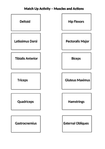 Muscle Match Up Game - link the muscle to the correct muscle action