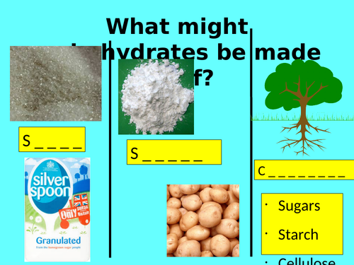 Testing foods - activate - year 7