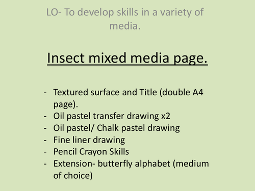 Insect based power point