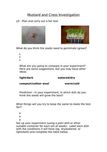 Mustard and Cress investigation