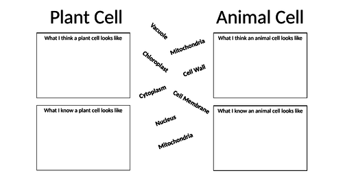 Plant and animal cell progress sheet
