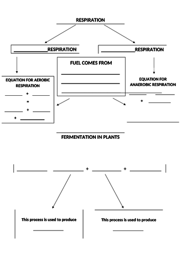 Respiration and fermentation fill the blanks flow chart