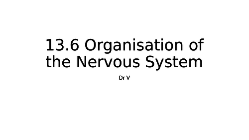 Organisation of the nervous system Chapter 13.6 OCR Biology GCE