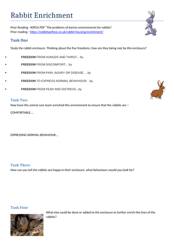 Rabbit Environments and Enrichment