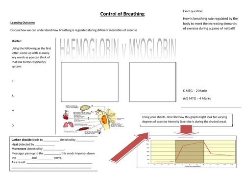 Breathing Control Learning Mat