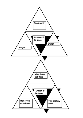 Lung & Respiratory Triominioes