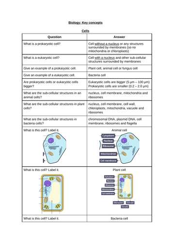 Question and Answers Revision Questions Edexcel GCSE Biol Key Concepts