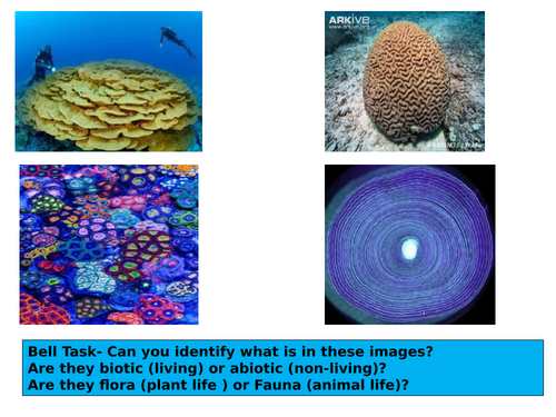 Tropical Rainforest/Andros Barrier Reef Case studies