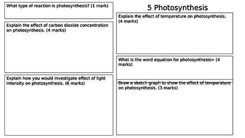 Photosynthesis Revision Mat