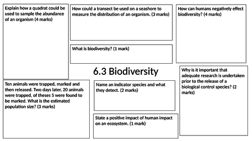 Biodiversity revision mat