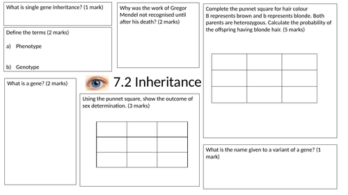 Inheritance Revision Mat