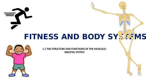 Edexcel GCSE PE (9-1) Component 1, Topic 1.1 Structure and Functions of the Skeleton