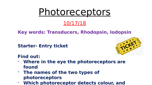Rods and cones- AQA Biology A level