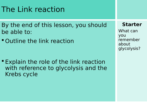 The Link reaction Complete Lesson (H420)