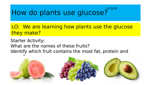 B8.3 How plants use glucose