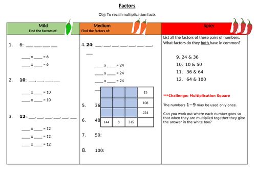 Factors Differentiated Maths Worksheet