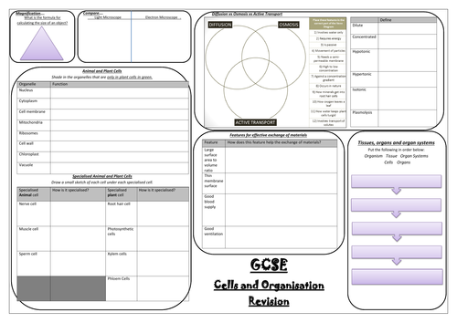 AQA NEW SPEC GCSE Biology (9-1) REVISION MINDMAPS- Cells and Organisation