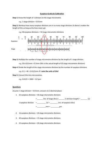 Eyepiece Graticule Calibration Questions A Level Biology OCR AQA