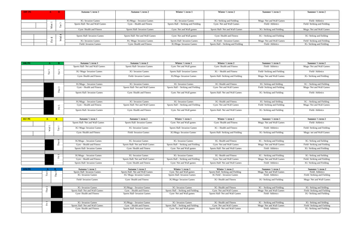 Curriculum Mapping structure for Y9-Y10-Y11 PE lessons