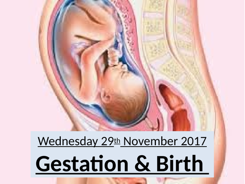 Gestation & Birth