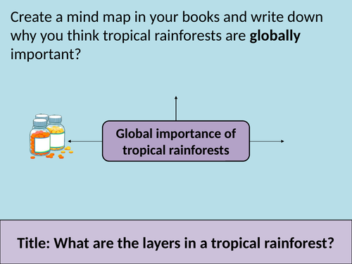 Layers of tropical rainforests