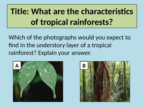 Characteristics of tropical rainforests