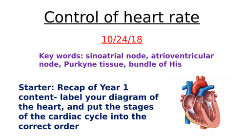 Control of heart rate- AQA A level Biology