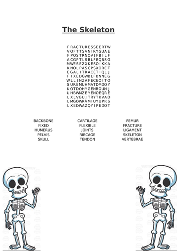 The Skeleton Word Search