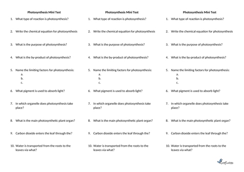 Photosynthesis Mini Test (Recap) - with answers