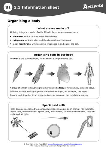 Activate 1-  Structure and function of body systems (7 lessons)