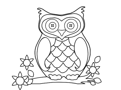 Owls Coloring Pack