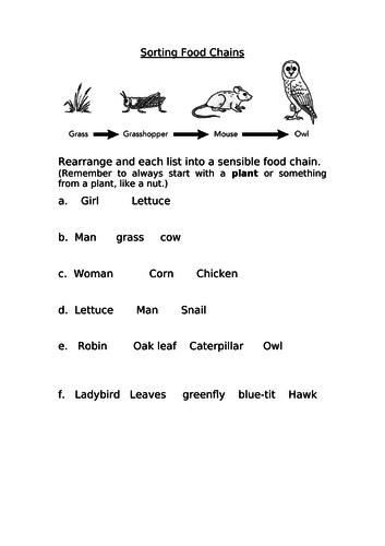Sorting food chains | Teaching Resources