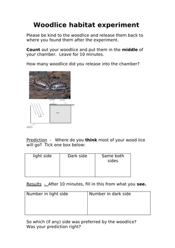 Woodlice habitat experiment