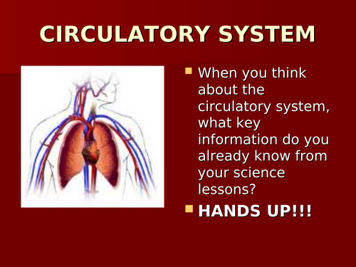 Circulatory presentation (lesson support)