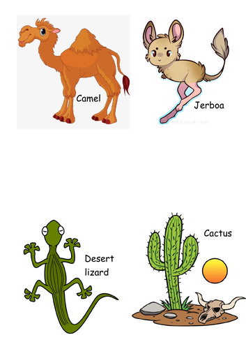 desert plants and animals clipart