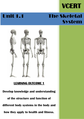 Level 1/2 Health and Fitness Skeletal System Unit of Work