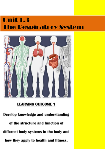 Level 1/2 Health and Fitness Respiratory System
