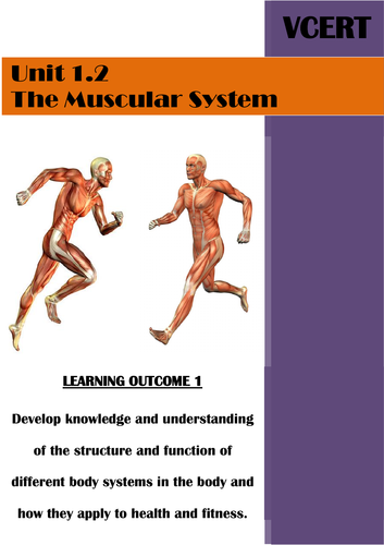 Level 1/2 Health and Fitness Muscular System