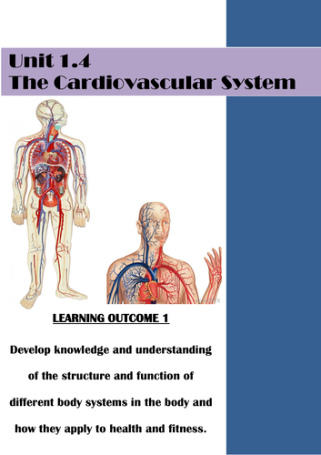 Level 1/2 Health and Fitness Cardiovascular System