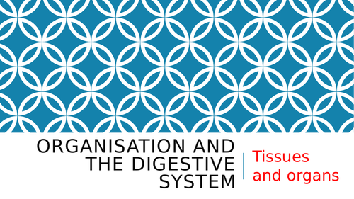 B3.1 Tissues and Organs