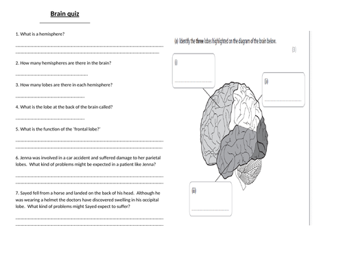 Edexcel 9-1 Psyhcology Topic 4 Brain and Neuropsychology- Lesson 1 Brain quiz and powerpoint
