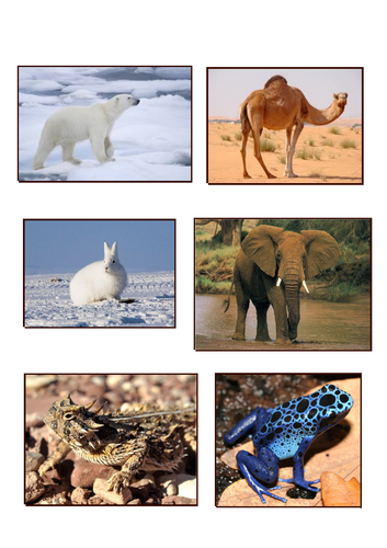 AQA GCSE 9-1 Ecology: Adaptations for Survival