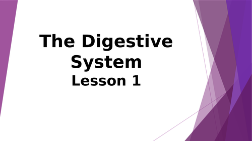 Lesson 1 Digestive System