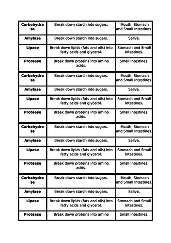 Digestive Enzymes Mix and Match