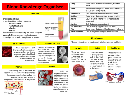 AQA Organisation Knowledge Organisers