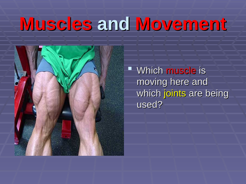 muscles and movement in sport