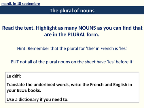 french-lesson-plural-of-nouns-teaching-resources