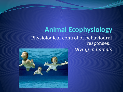 Physiology presentations covering animal adaptations - 21 resources