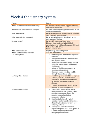 The urinary system (including UTI) notes